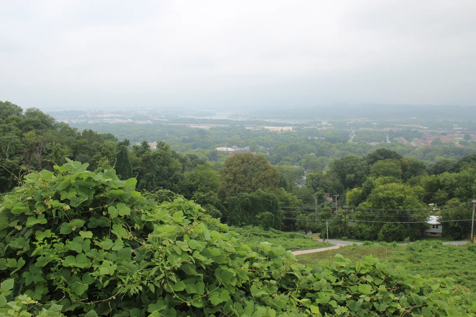 Chattanooga's tree-covered neighborhoods seen from Missionary Ridge, looking west toward downtown.