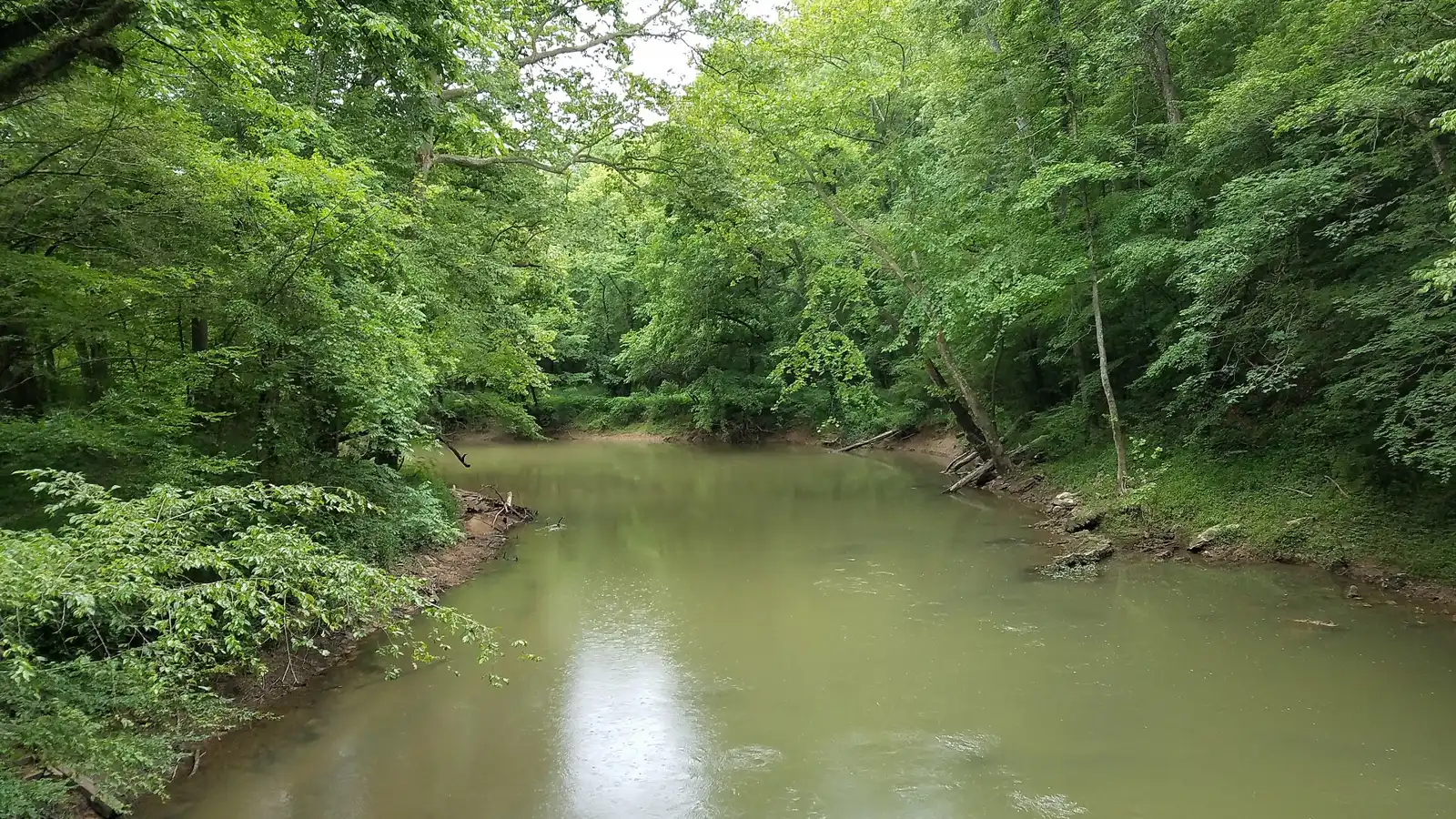 South Chickamauga Creek seen from the bridge at Audubon Acres in Chattanooga. The picture does not show the leak site.