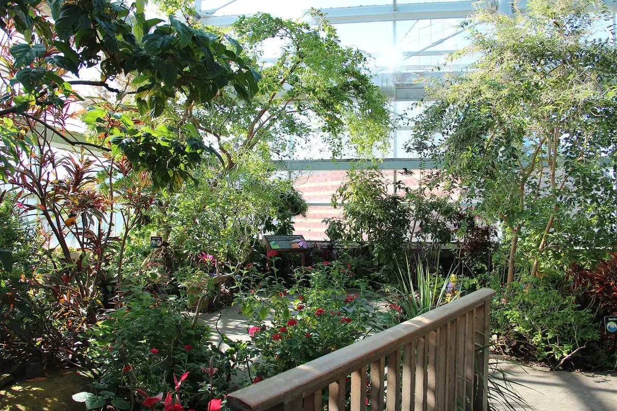 The butterfly garden under the glass roof of the Tennessee Aquarium in downtown Chattanooga.